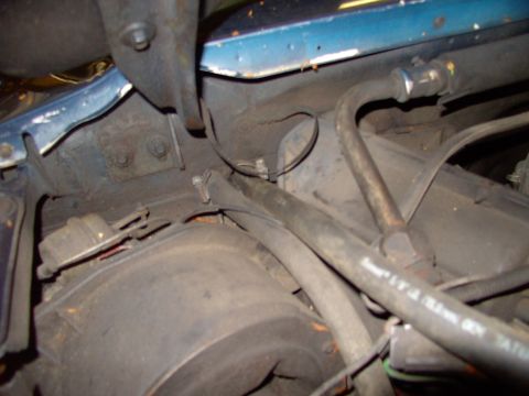 1986 Ford Bronco - Remove hose clamps under the hood.