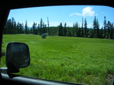 2005 Jeep Wrangler - A view from inside a vehicle looking out at a wide green field with a line of trees in the background under a bright blue sky with a few cl…