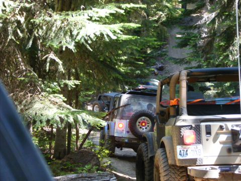 2005 Jeep Wrangler - Two Jeep Wranglers drive up a narrow dirt trail in a forest, with the rear of the lead Jeep clearly visible in the foreground.