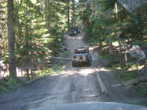 2005 Jeep Wrangler - Two Jeep Wranglers drive up a dirt trail through a dense forest. The lead Jeep is a tan 2-door model with its top removed, and the second J…