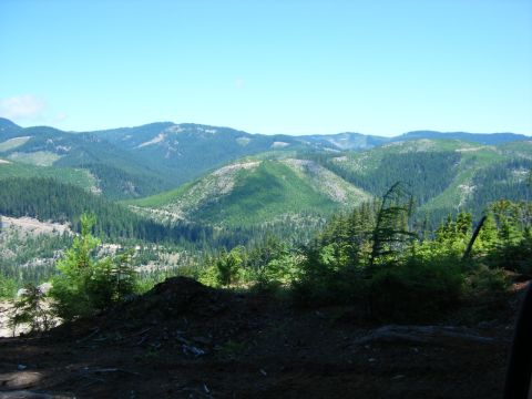 2005 Jeep Wrangler - A wide view of rolling green hills covered in dense evergreen trees under a clear blue sky. The foreground shows dark soil and some sparse…