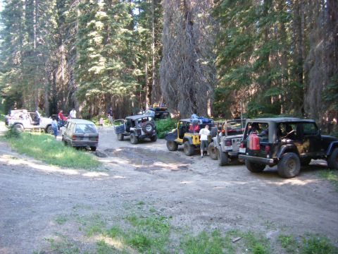 2005 Jeep Wrangler - A group of Jeeps and an SUV are parked on a dirt road in a forest. The vehicles appear to be off-roading or on a trail.