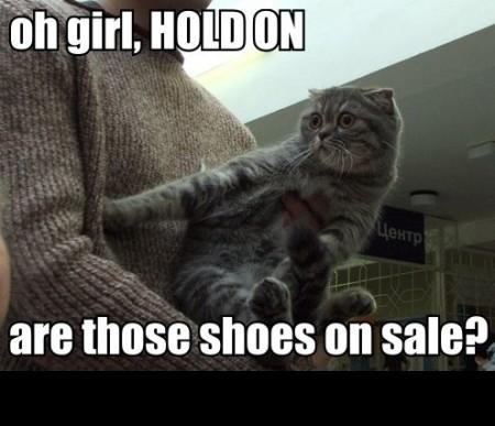 1988 Mercury Grand Marquis - A person is holding a startled-looking cat. Text overlays read "oh girl, HOLD ON" and "are those shoes on sale?"