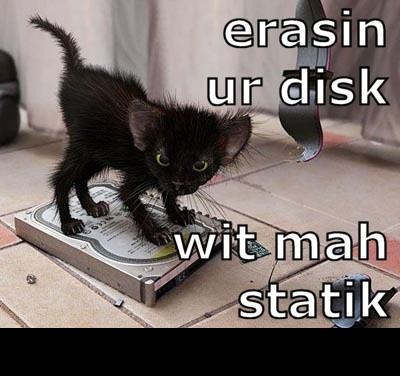 1988 Mercury Grand Marquis - A black kitten stands on a hard drive with the words "erasin ur disk wit mah statik" superimposed on the image.