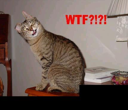 1988 Mercury Grand Marquis - A tabby cat is sitting on a table with its tongue sticking out. Red text that says "WTF?!?!" is overlaid on the image.
