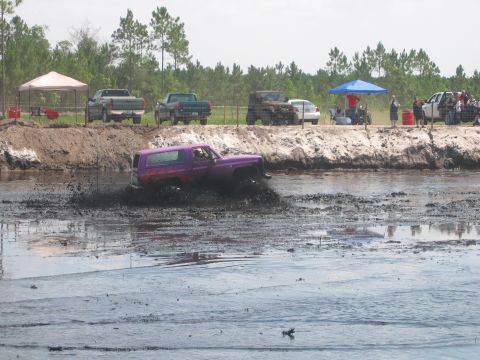 1992 Ford Bronco - A purple object is seen in the water with a shoreline and trees in the distance.