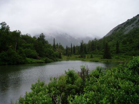 2000 Ford E350 - A serene lake is surrounded by lush green trees and vegetation under a cloudy sky. In the background, misty mountains rise, creating a tran…