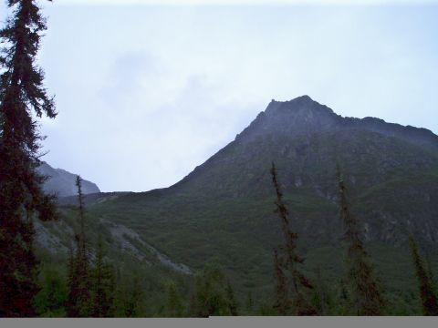 2000 Ford E350 - A cloudy sky looms over a dark, tree-covered mountain range. Tall evergreen trees are in the foreground.