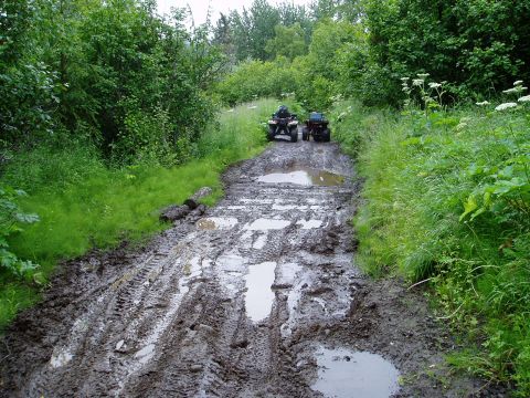 2000 Ford E350 - Two ATVs are parked on a very muddy dirt road surrounded by lush green vegetation. The road is deeply rutted and filled with puddles.