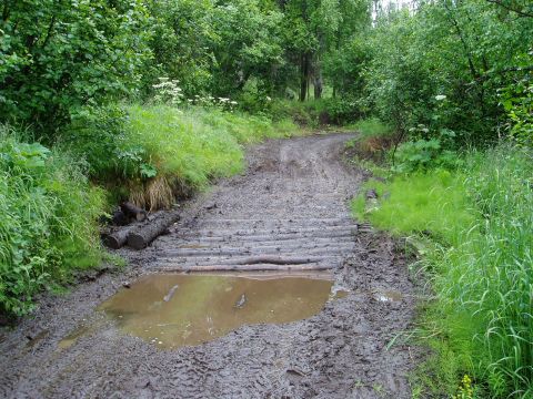 2000 Ford E350 - A muddy, rutted dirt road with a makeshift log bridge crosses a small puddle. Lush green trees and grass line the path.