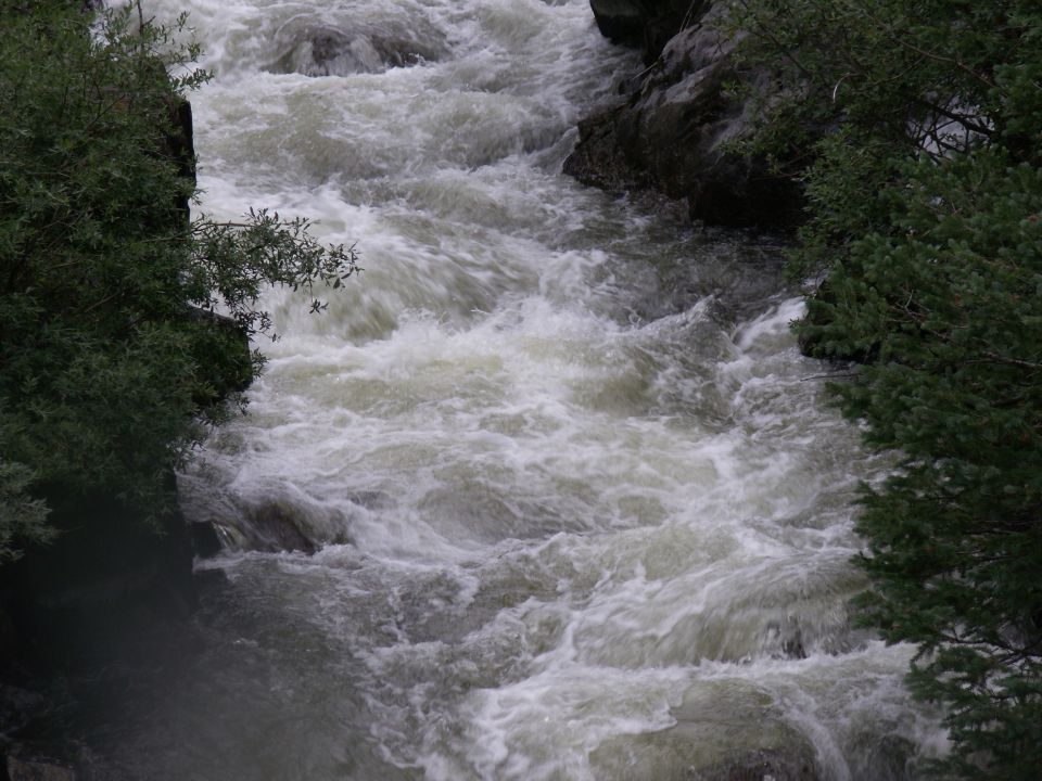 Fast flowing river with white water and trees.