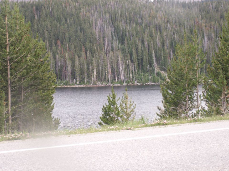 Lake and forest scene with a road in the foreground.