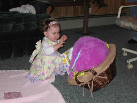 2000 Ford Crown Victoria - A baby girl in a light green floral dress with a purple sash and bow reaches out towards a large purple stuffed animal in a woven basket.