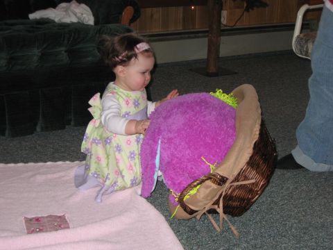 2000 Ford Crown Victoria - A baby girl in a light green dress with purple flowers interacts with a large purple stuffed toy.