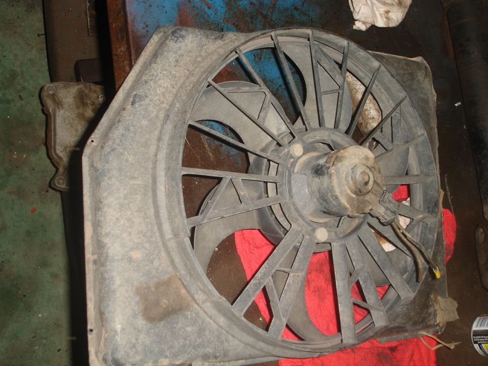 Radiator fan with black plastic blades and motor housing
