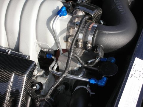 1998 Ford Crown Victoria - Photograph of an engine bay showing intake plumbing, braided lines, and blue anodized AN fittings.