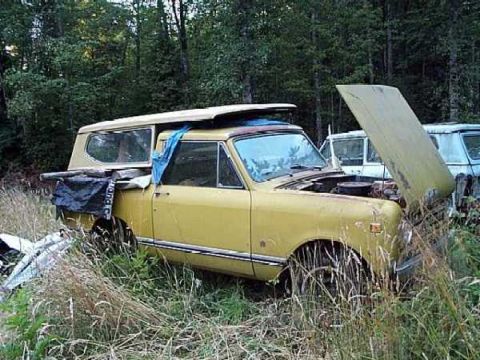 1971 International Scout II “2BigScout Project”