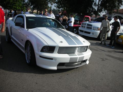 1998 Ford Crown Victoria - Front three-quarter of a white Shelby GT Mustang with silver stripes among a crowd of show cars.