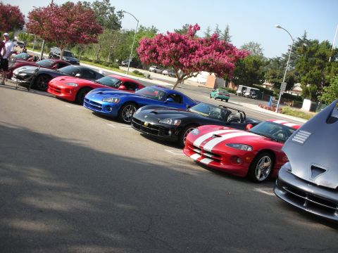 1998 Ford Crown Victoria - row of Dodge Vipers in red, blue, black, and silver parked along a street at a car show.