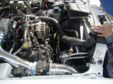 1998 Ford Mustang photo