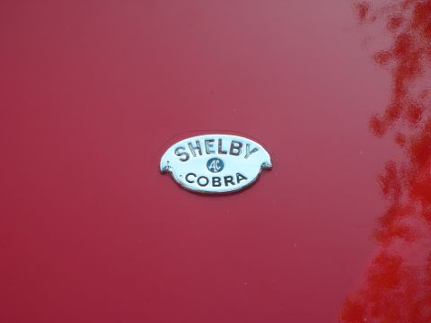 1998 Ford Crown Victoria - Close-up photograph of a chrome Shelby AC Cobra badge emblem on a red car body, a logo rather than a technical document.
