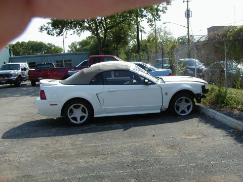 1998 Ford Mustang photo