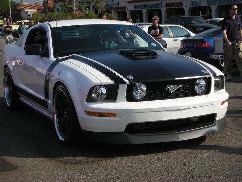 1998 Ford Crown Victoria - A white 2005 Ford Mustang Boss 302 is parked at a car meet, prominent black racing stripes and a hood scoop.