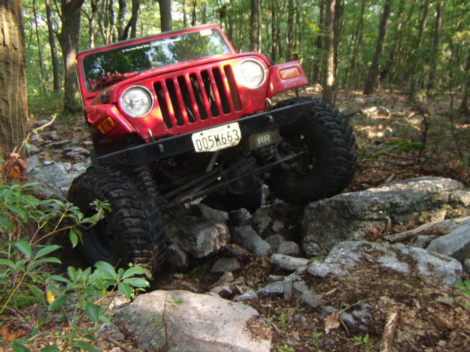 Red Jeep Wrangler navigating a rocky trail in a wooded area