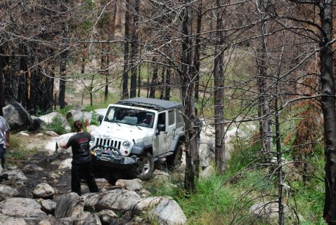 1996 Ford Bronco - A white Jeep Wrangler is shown off-roading on a rocky path surrounded by trees.