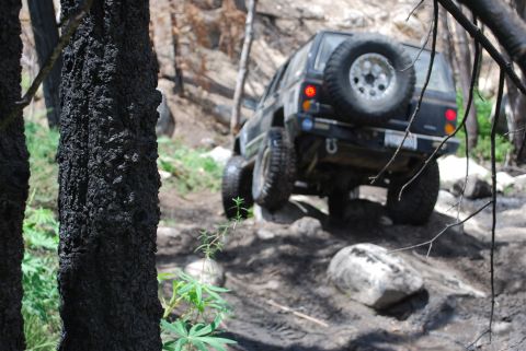 1996 Ford Bronco - A black 1996 Ford Bronco is navigating a rocky, off-road trail, with its rear tire visible on a large rock. The vehicle is surrounded by bu…