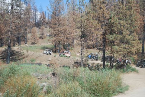 1996 Ford Bronco - Several off-road vehicles are parked on a dirt path in a wooded area with burnt trees. One Jeep is white, another is red and white, and a t…