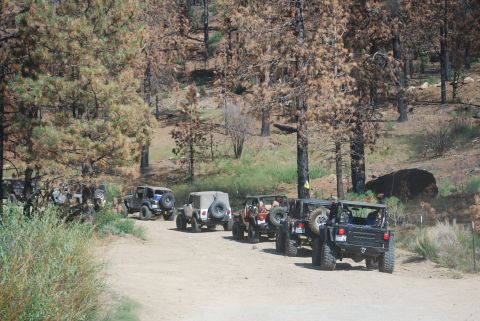 1996 Ford Bronco - A line of several off-road vehicles, primarily Jeeps, are parked on a dirt road in a wooded area with many burnt trees. The vehicles are fa…