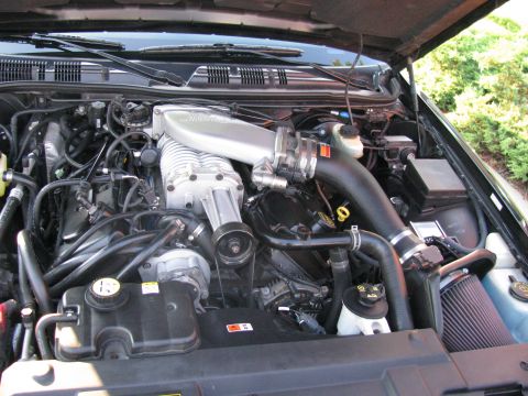2003 Mercury Marauder - MM.net member Drewstang's Trilogy-powered '03 Marauder.