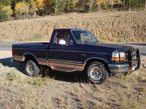 1995 Ford F-150 photo
