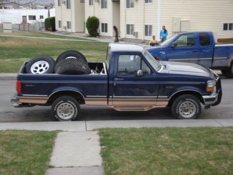 1995 Ford F-150 photo