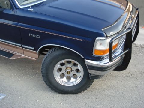 1995 Ford F-150 photo