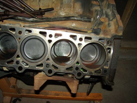 2007 Ford Mustang - Photograph of an engine block showing the head gasket and four cylinder bores.