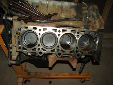 2007 Ford Mustang - Photograph of an engine short block on a stand showing cylinder bores and head bolts.