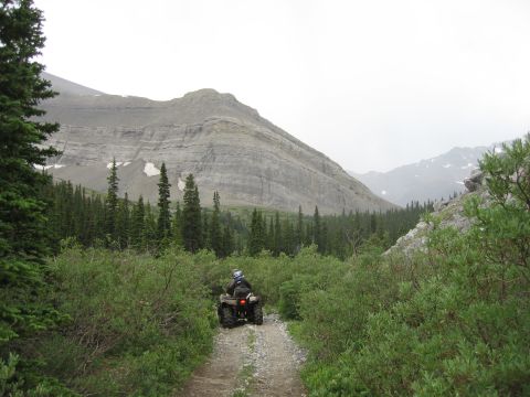 2008 Honda RANCHER