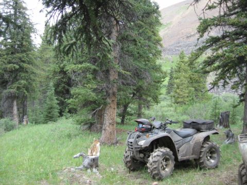 2008 Honda RANCHER
