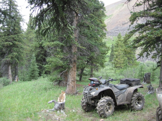 Dark ATV parked in a forest clearing with a helmet on the handlebars.