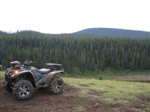 2008 Honda RANCHER