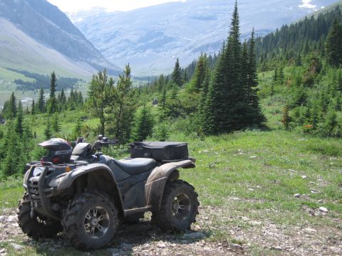 2008 Honda RANCHER