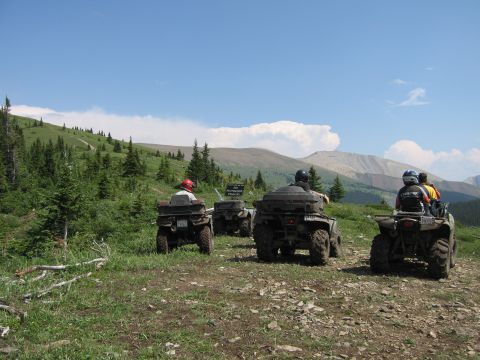 2008 Honda RANCHER