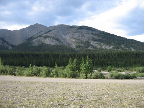 2008 Honda RANCHER