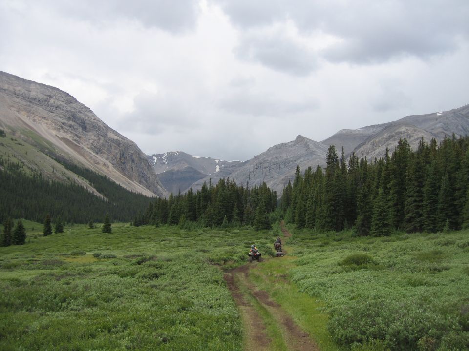 Two ATVs on a dirt path in a meadow with mountains and pine trees.