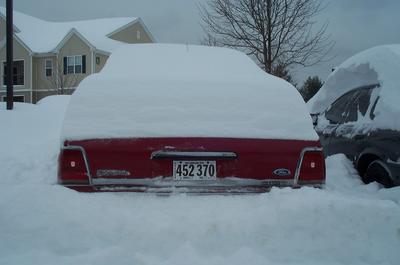1991 Ford Crown Victoria LTD - A red car is buried in snow, with only its rear and license plate visible.