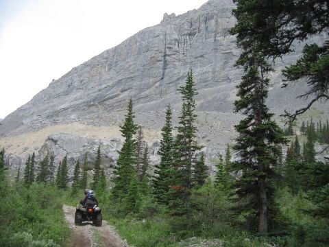 2008 Honda RANCHER