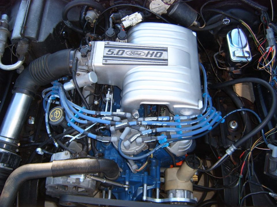 Ford 5.0 HO engine with silver intake manifold and blue spark plug wires.
