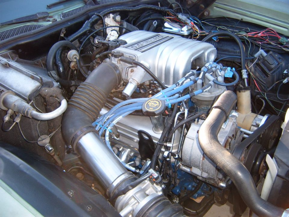 Ford 5.0 HO engine with blue spark plug wires and silver intake manifold.